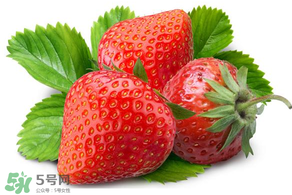 小孩多吃草莓好嗎？小孩可以摘草莓嗎？