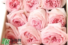 鮮花怎么養(yǎng)？鮮花怎么養(yǎng)放的比較久？