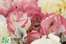 鮮花怎么養(yǎng)？鮮花怎么養(yǎng)放的比較久？
