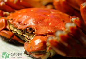春天的螃蟹能吃嗎？開春后大閘蟹能吃嗎？