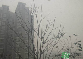 霧霾天開空調(diào)會不會污染室內(nèi)空氣？