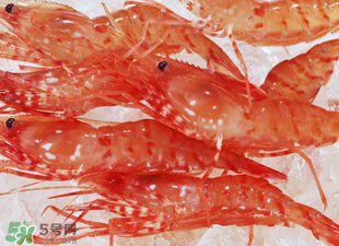 凍蝦能放多久？凍蝦放冰箱冷藏多久？