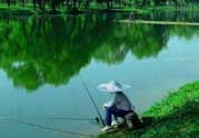春天釣魚用什么餌料？春天釣魚用腥還是香？