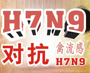 禽流感期間吃什么？預(yù)防禽流感吃什么好？