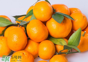 桔子批發(fā)多少錢一斤？桔子多少錢一斤？