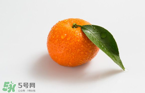 桔子批發(fā)多少錢一斤？桔子多少錢一斤？