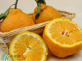 丑橘少錢(qián)一斤？丑橘一斤幾個(gè)？