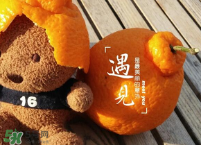 丑橘少錢(qián)一斤？丑橘一斤幾個(gè)？
