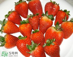 奶油草莓是什么品種？奶油草莓和巧克力草莓的區(qū)別 