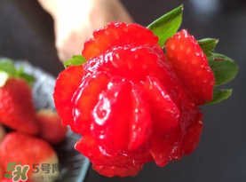 草莓花束怎么做？草莓花束怎么扎起來(lái)？