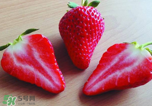 九九草莓多少錢一斤？99草莓價(jià)格是多少？