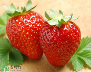 九九草莓好嗎？九九草莓和牛奶草莓區(qū)別 