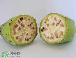 野香蕉可以吃嗎？野香蕉怎么吃？
