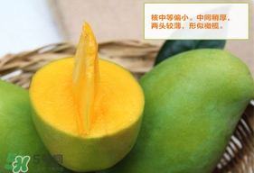 青芒果硬的能吃嗎？青芒果沒(méi)熟能吃嗎？