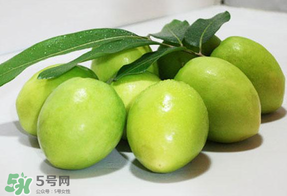 青棗什么時候上市？青棗什么時候成熟？