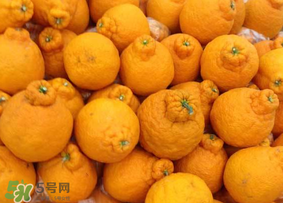 丑橘是轉(zhuǎn)基因嗎？丑八怪是轉(zhuǎn)基因的嗎？