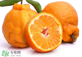 丑橘是轉(zhuǎn)基因嗎？丑八怪是轉(zhuǎn)基因的嗎？
