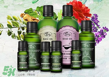 阿芙精油可以去痘印嗎？阿芙精油能不能去痘?。?></p><h3>阿芙茶樹(shù)精油怎么用</h3><h4>臉部保養(yǎng)</h4><p>1、直接點(diǎn)涂</p><p>茶樹(shù)精油是可以直接點(diǎn)涂在皮膚上的單方精油，用干凈的棉簽蘸取少量阿芙茶樹(shù)精油，直接點(diǎn)涂于痘痘處，痘痘會(huì)慢慢消退。</p><p>2、和護(hù)膚品混合</p><p>將1滴阿芙茶樹(shù)精油滴入爽膚水、乳液、精華、面霜等護(hù)膚品中，混合均勻后涂抹在臉上，可以收縮毛孔。</p><p>3、和面膜混合</p><p>將1滴阿芙茶樹(shù)精油滴入面膜中敷臉，可以調(diào)節(jié)肌膚油脂分泌，收縮毛孔，修復(fù)細(xì)胞。</p><p>4、面部按摩</p><p>將1滴阿芙茶樹(shù)精油、1滴洋甘菊精油、1滴薰衣草精油、10ml葡萄籽油混合均勻，用來(lái)按摩面部，可以幫助排毒。</p><p style=