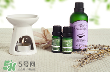 阿芙精油可以去痘印嗎？阿芙精油能不能去痘?。?></strong><br/></p><h4>身體保養(yǎng)</h4><p>1、泡澡</p><p>在浴缸中加入5~6滴阿芙茶樹(shù)精油，攪拌均勻，然后像平時(shí)一樣泡澡，可以有效控油，讓肌膚清新滑爽。</p><p>2、泡腳</p><p>在一盆熱水中加入2~3滴阿芙茶樹(shù)精油，攪拌均勻，用來(lái)泡腳10分鐘，可以有效治療香港腳。</p><p>3、涂在灰指甲上</p><p>在灰指甲上滴1滴阿芙茶樹(shù)精油，堅(jiān)持使用，漸漸就會(huì)有健康的指甲長(zhǎng)出來(lái)。</p><p>4、漱口</p><p>在一杯溫開(kāi)水中加入1~2滴阿芙茶樹(shù)精油，攪拌均勻，用來(lái)漱口，可以改善牙齦出血、腫痛。</p><h4>消毒熏香</h4><p>1、熏香</p><p>在熏香爐中加入2~3滴阿芙茶樹(shù)精油，既可以讓香氣散發(fā)在室內(nèi)，還可以?xún)艋諝庵械募?xì)菌、病毒和蚊蟲(chóng)。</p><p>2、洗內(nèi)衣</p><p>洗內(nèi)衣時(shí)，在水里加入3~4滴阿芙茶樹(shù)精油，能夠有效殺滅細(xì)菌病毒、去除異味，預(yù)防感染婦科炎癥。</p><p>3、家庭清潔</p><p>在一桶清水中加入6滴阿芙茶樹(shù)精油，可用來(lái)洗抹布、碗盤(pán)、擦地板、擦桌子等，有助于殺菌，并消除污垢。</p> </div>
<div align=