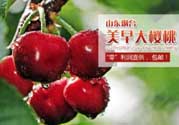 美早和黑珍珠哪個好吃？美早和黑珍珠的區(qū)別