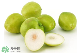 青棗可以泡酒嗎？青棗泡酒喝有什么好處？