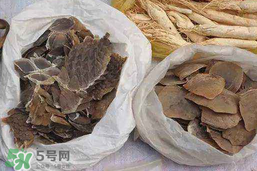 穿山甲下奶怎么吃？穿山甲下奶效果好嗎？