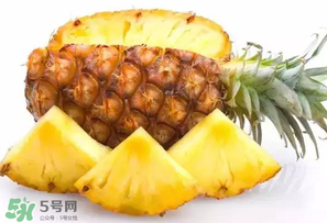 菠蘿批發(fā)多少錢一斤？菠蘿批發(fā)價格