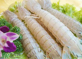 皮皮蝦為什么沒有肉？皮皮蝦為什么里面沒肉？