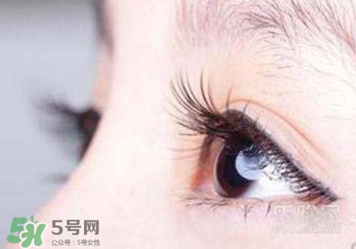 孕睫毛是永久的嗎？孕睫毛可以保持多久？