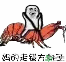 說人皮皮蝦是什么意思？女生叫男生皮皮蝦什么意思？