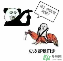 皮皮蝦為何突然火了？皮皮蝦怎么火的？
