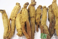 高麗參適合什么人吃？什么人不能吃高麗參？