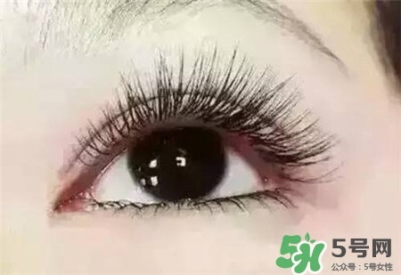 孕睫術(shù)是什么？孕睫術(shù)有用嗎？