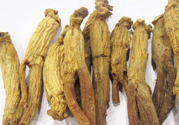 高麗參適合什么人吃？什么人不能吃高麗參？