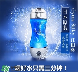 水素杯的價格是多少？水素杯日本價格多少？
