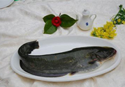清江魚熱量高嗎？吃清江魚會胖嗎？