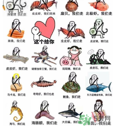 用皮皮蝦罵人什么意思？罵人皮皮蝦什么意思？