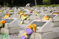 清明節(jié)能出游嗎？清明節(jié)可以出去旅游嗎？