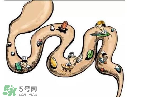 便秘吃什么藥好？便秘吃什么藥最快排便？