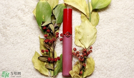 肉桂色口紅哪個牌子好？肉桂色口紅推薦
