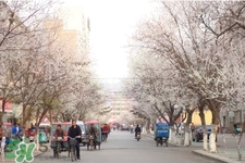 倒春寒是一種什么冷？倒春寒為什么會冷？