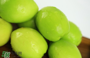 青棗吃多了會(huì)胖嗎？吃青棗會(huì)不會(huì)發(fā)胖？