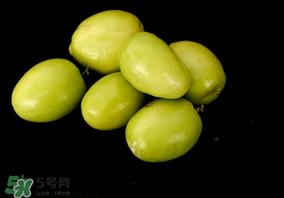 吃青棗可以減肥嗎？減肥可以吃青棗嗎？