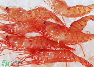 蝦凍了一年還能吃嗎？蝦凍了半年還能吃嗎？