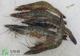 青蝦變黑了還能吃嗎？青蝦為什么變黑？