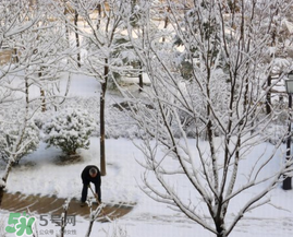 春天下雪意味著什么？春天為什么會下雪？