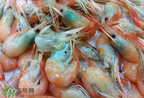 蝦變綠了能吃嗎？凍蝦變綠了能吃嗎？