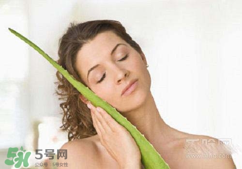 蘆薈涂在臉上發(fā)癢是怎么回事？蘆薈涂在臉上發(fā)癢怎么辦？