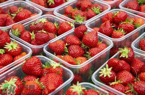 草莓爛了點皮可以吃嗎？草莓表皮發(fā)白是爛了嗎？