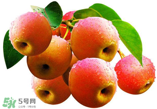 南國(guó)梨為什么有酒味？南果梨有酒味能吃嗎？